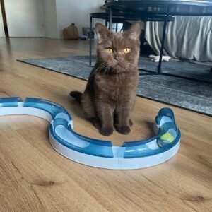 BORIS / MALE