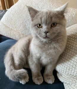 KACY / FEMALE